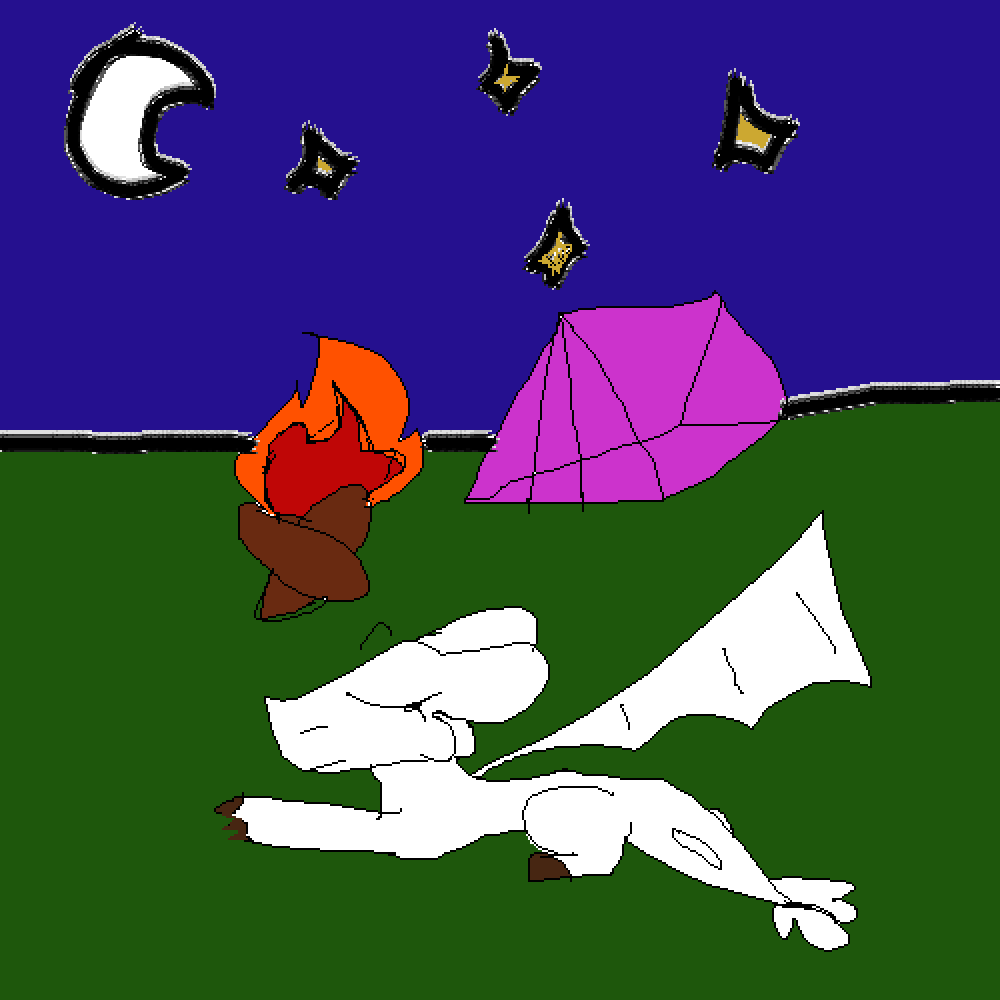 Light fury goes camping