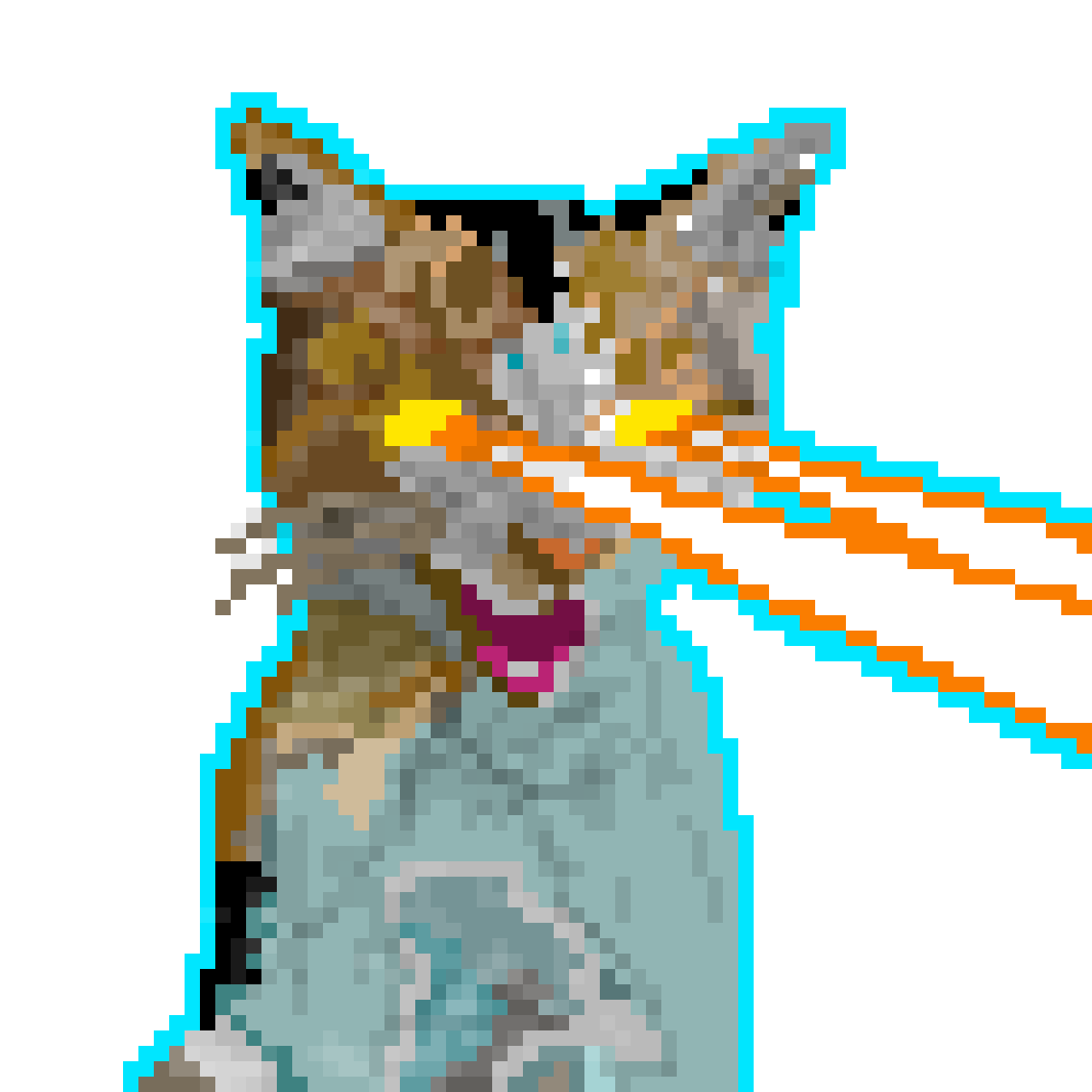Pixilart Laser Cat by burg4