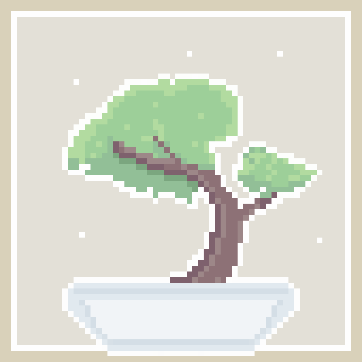 bonsai