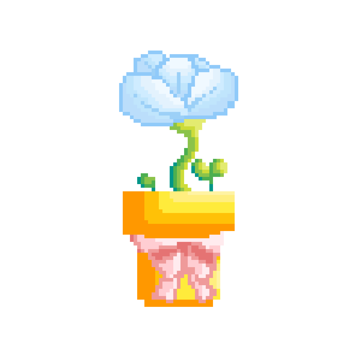 Flower Contest - 1st Place