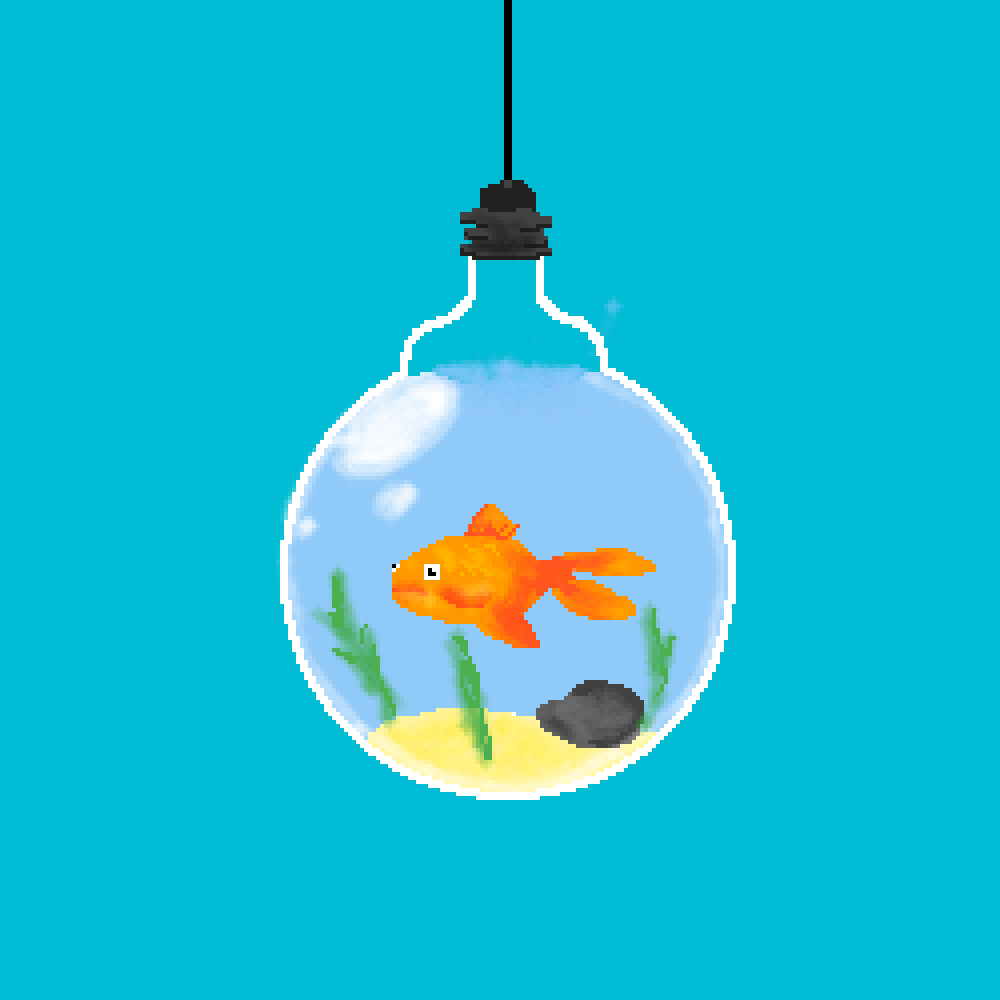Fish in a Light