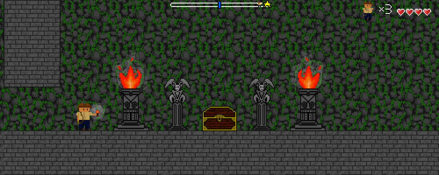 Dungeon Raider