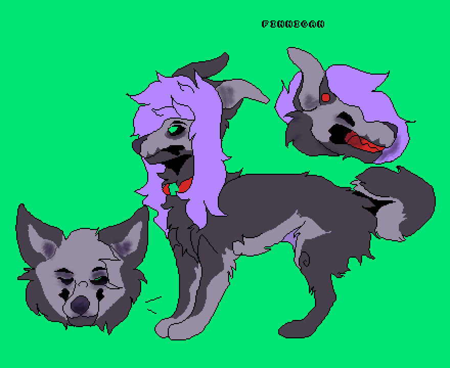 Pixilart Finnegan ref by l00svr