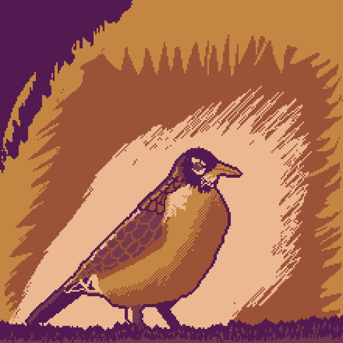 Pixilart - American Robin by SawNinja