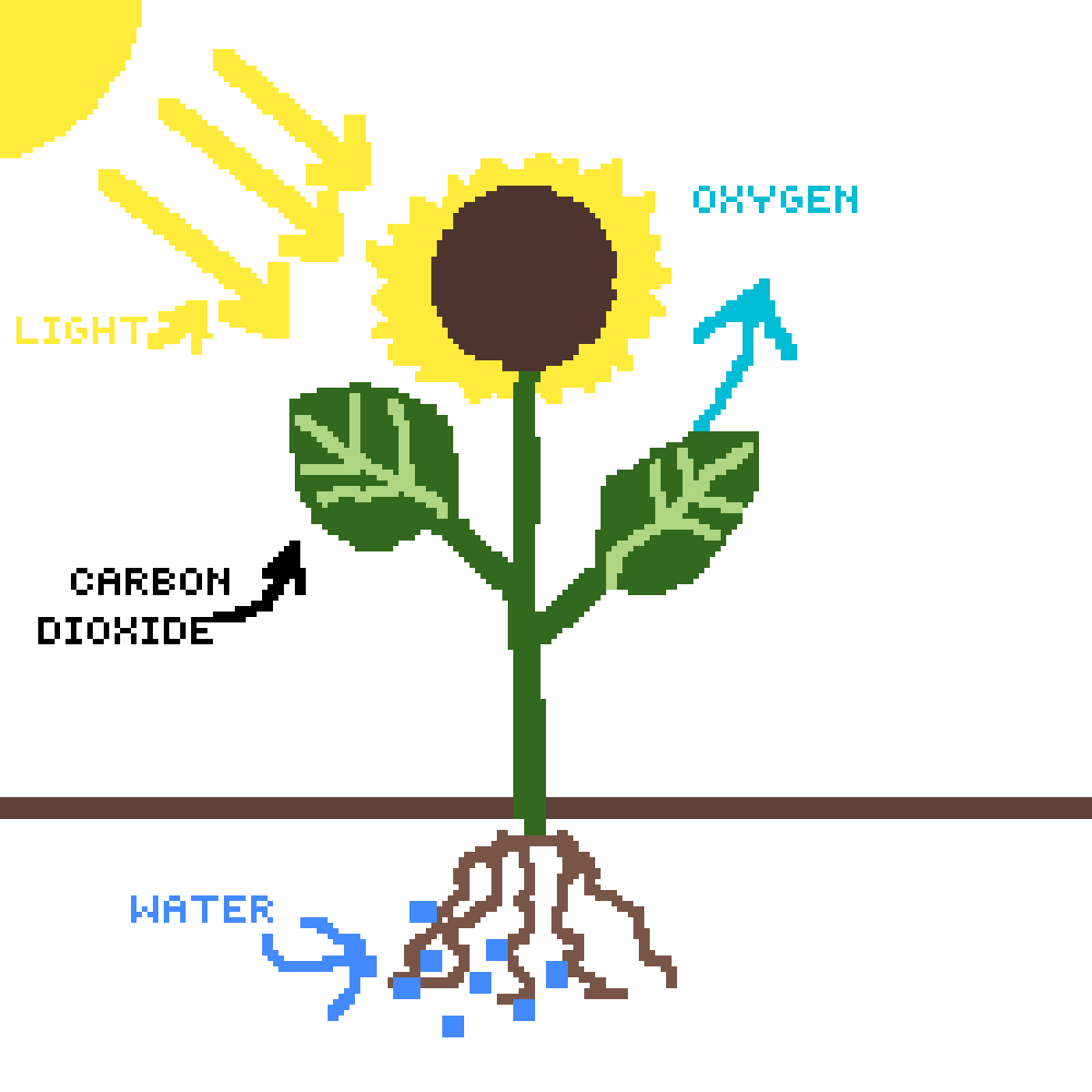 Editing photosynthesis - Free online pixel art drawing tool - Pixilart