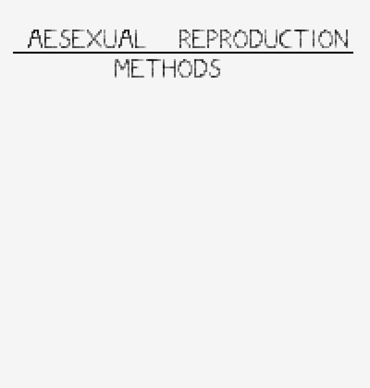 42 Kiev s Gallery Pixilart 42 Kiev s Gallery Pixilart