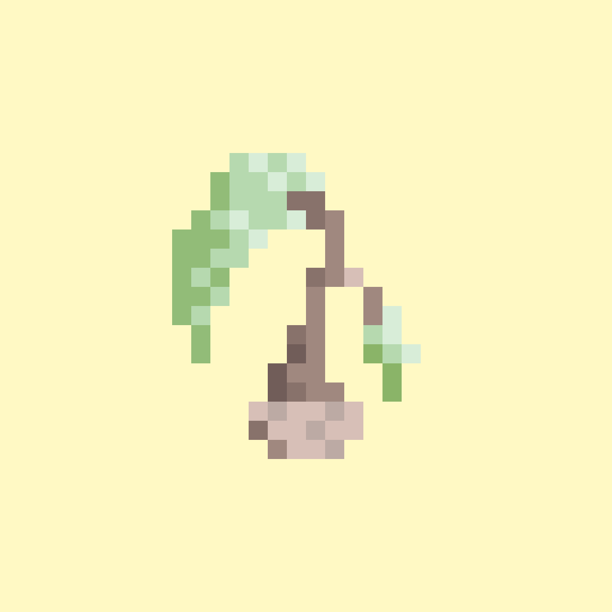 Bonsai sapling