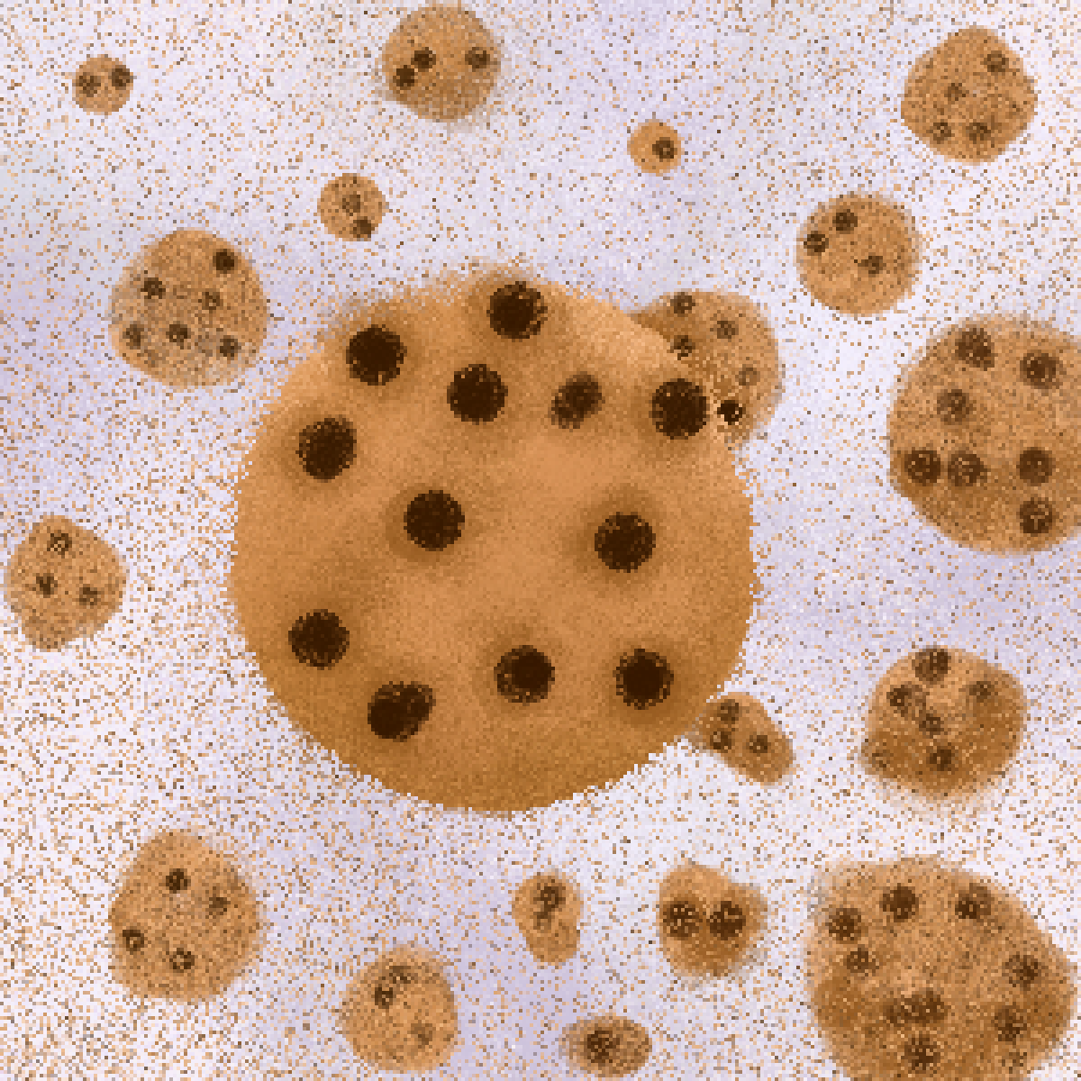 Kitsunes S Gallery Pixilart