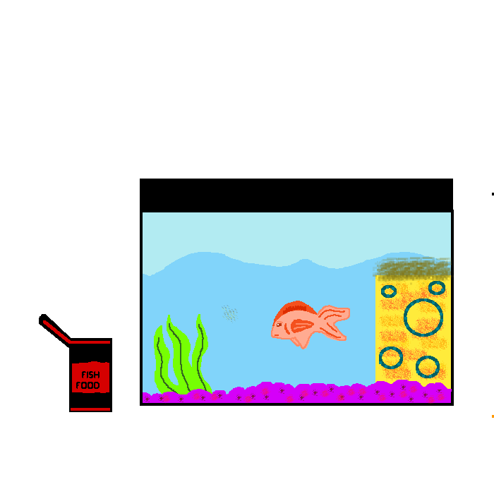 Fish Tank