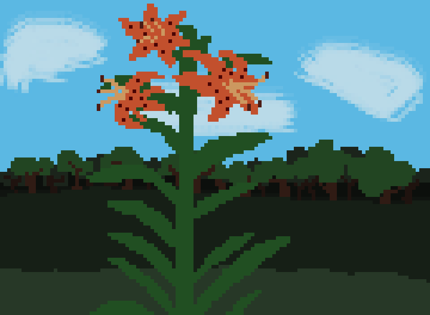 Tiger Lily