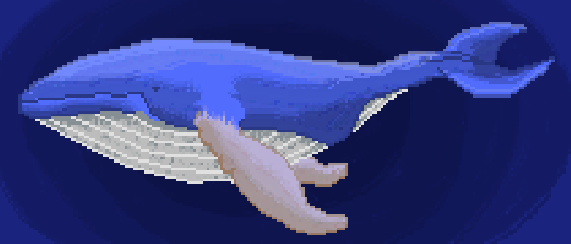 Whale