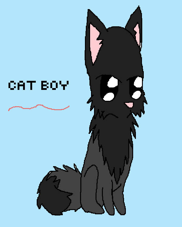 Cat Boy