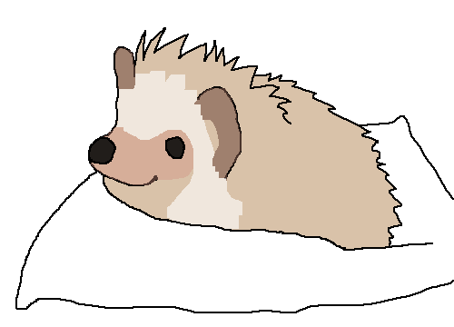random-image-from-user
