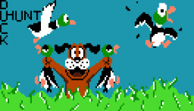 Duck Hunt