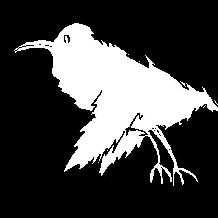 Old raggedy crow