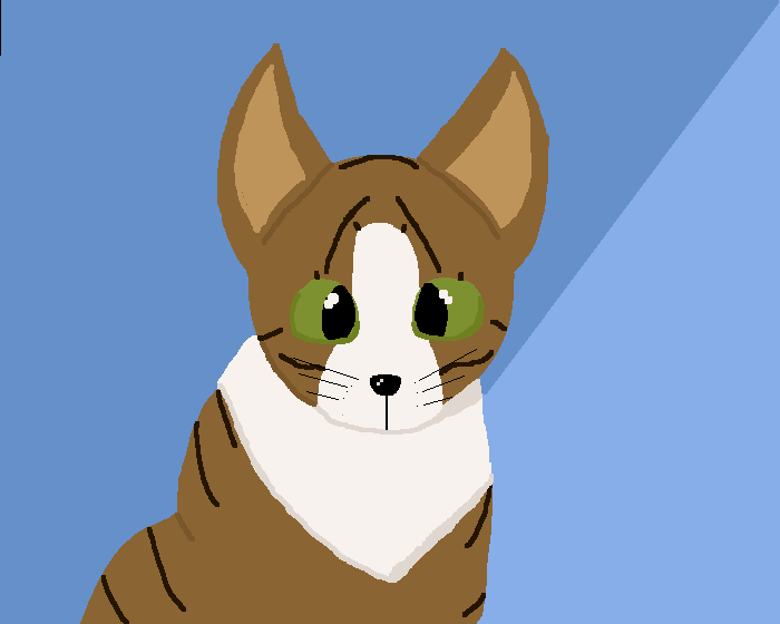 I made a Cat