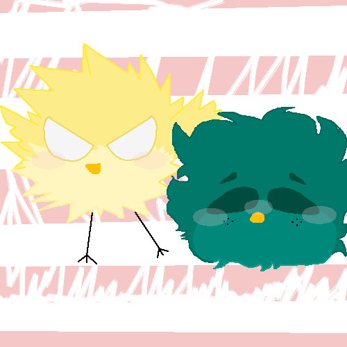 BkDk birbs