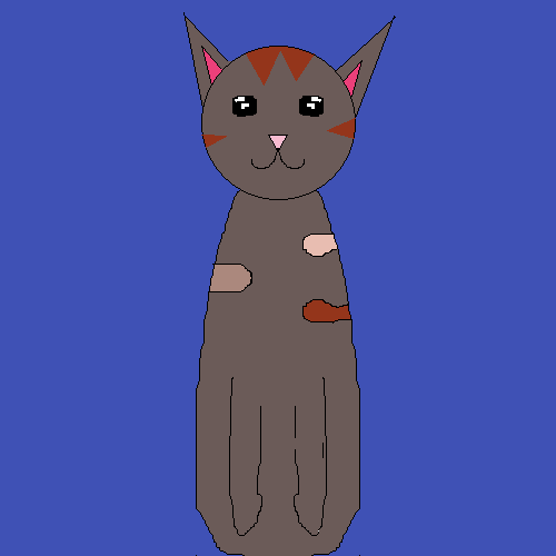 cat cool