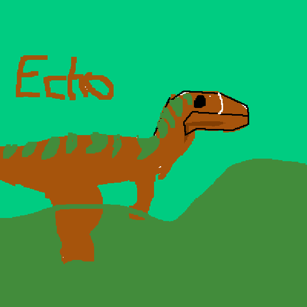 Echo