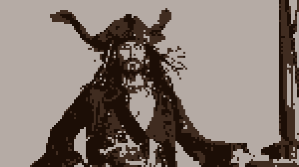 The Pirate's Life
