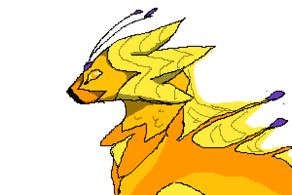 random-image-from-user