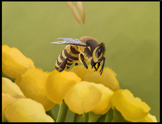 Bee