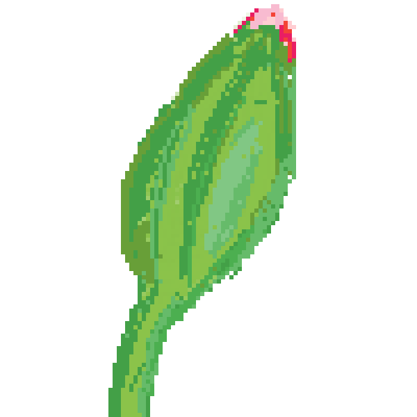 Flower bulb