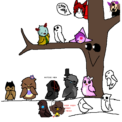 Collab woth birbs