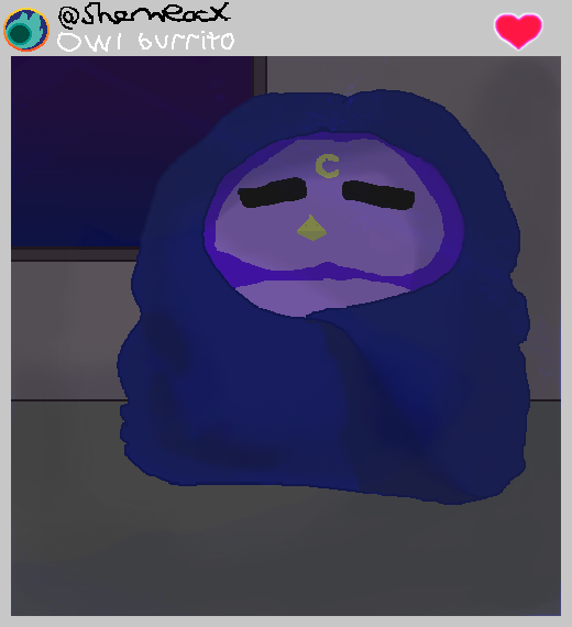 Owl Burrito