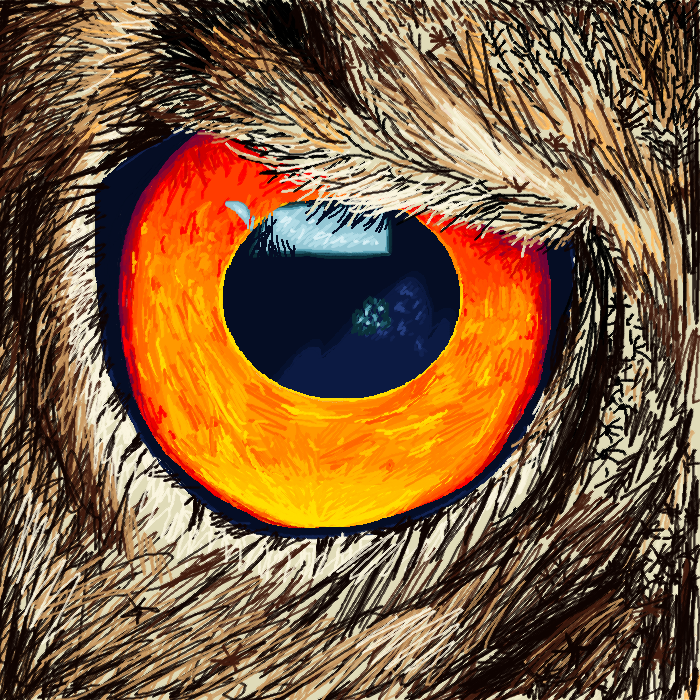 owl eye