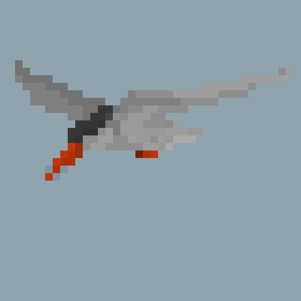Caspian tern
