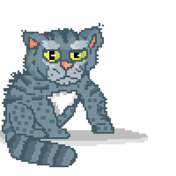 My cat is Faraon