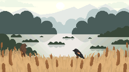 Dream Birds