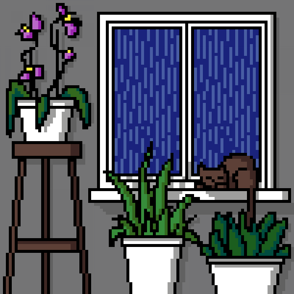 Rainy day