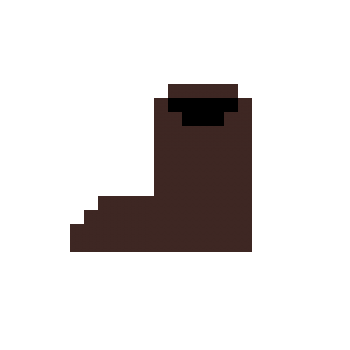 shoe