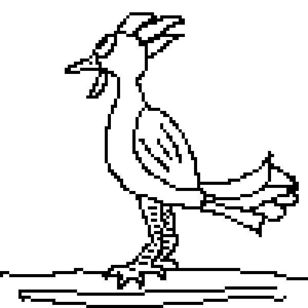  Bird Base