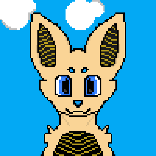 New art