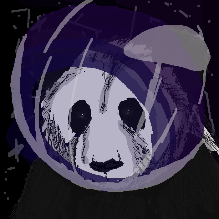 The most interesting panda in the world