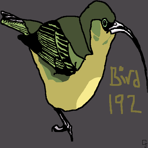 Bird 192