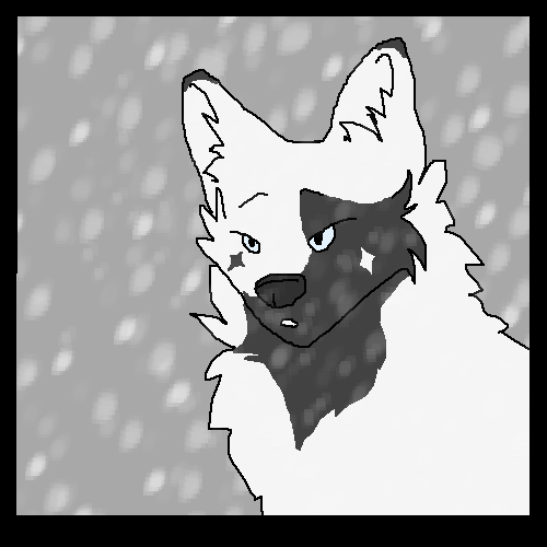 Snowstorm