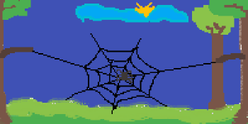 Spider in the night