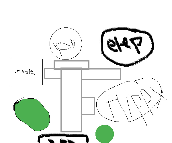 zoo
