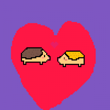 A couple of hedghogs