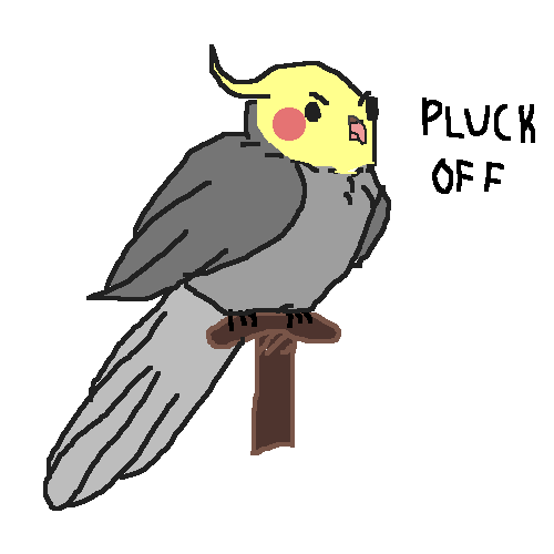 for my friend kiera