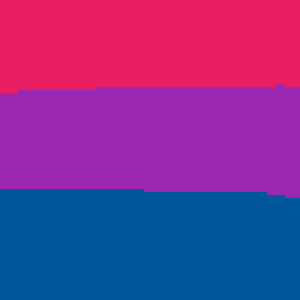Bi flag
