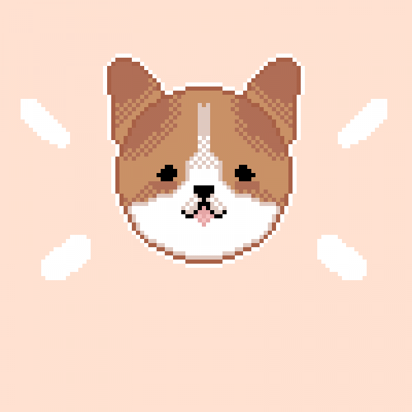 lil' corgi