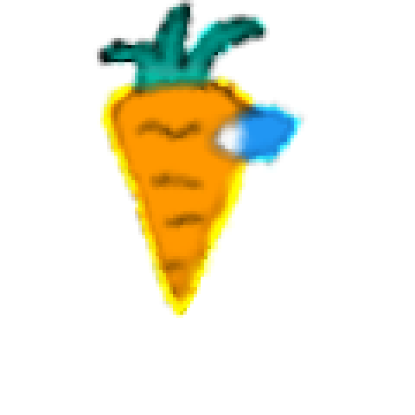 CARROT SUS