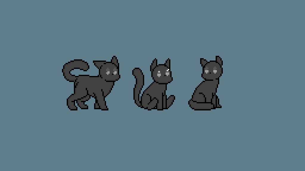 my cat