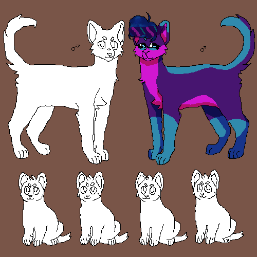 cool gay cat i guess