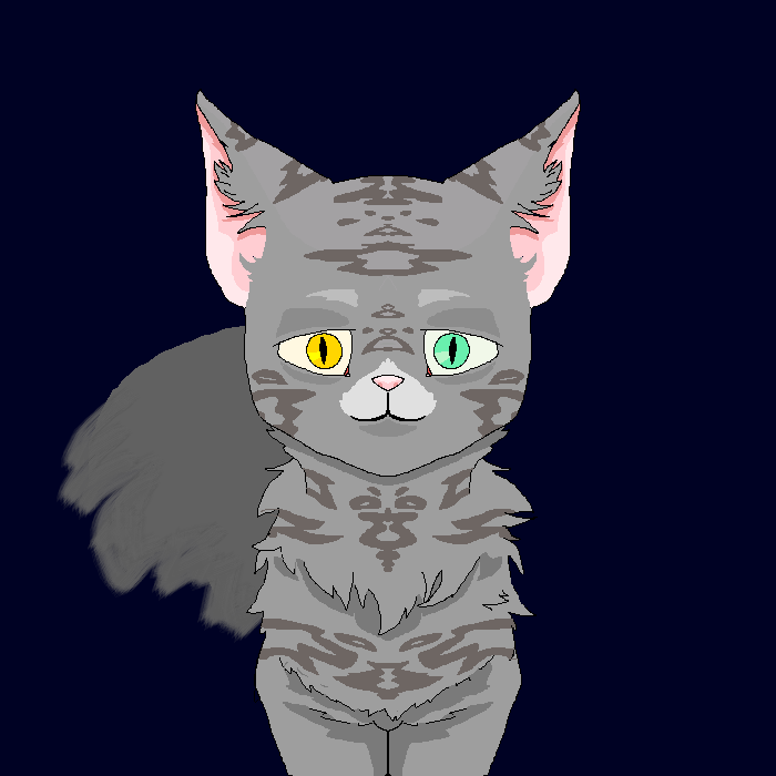 Kitteh